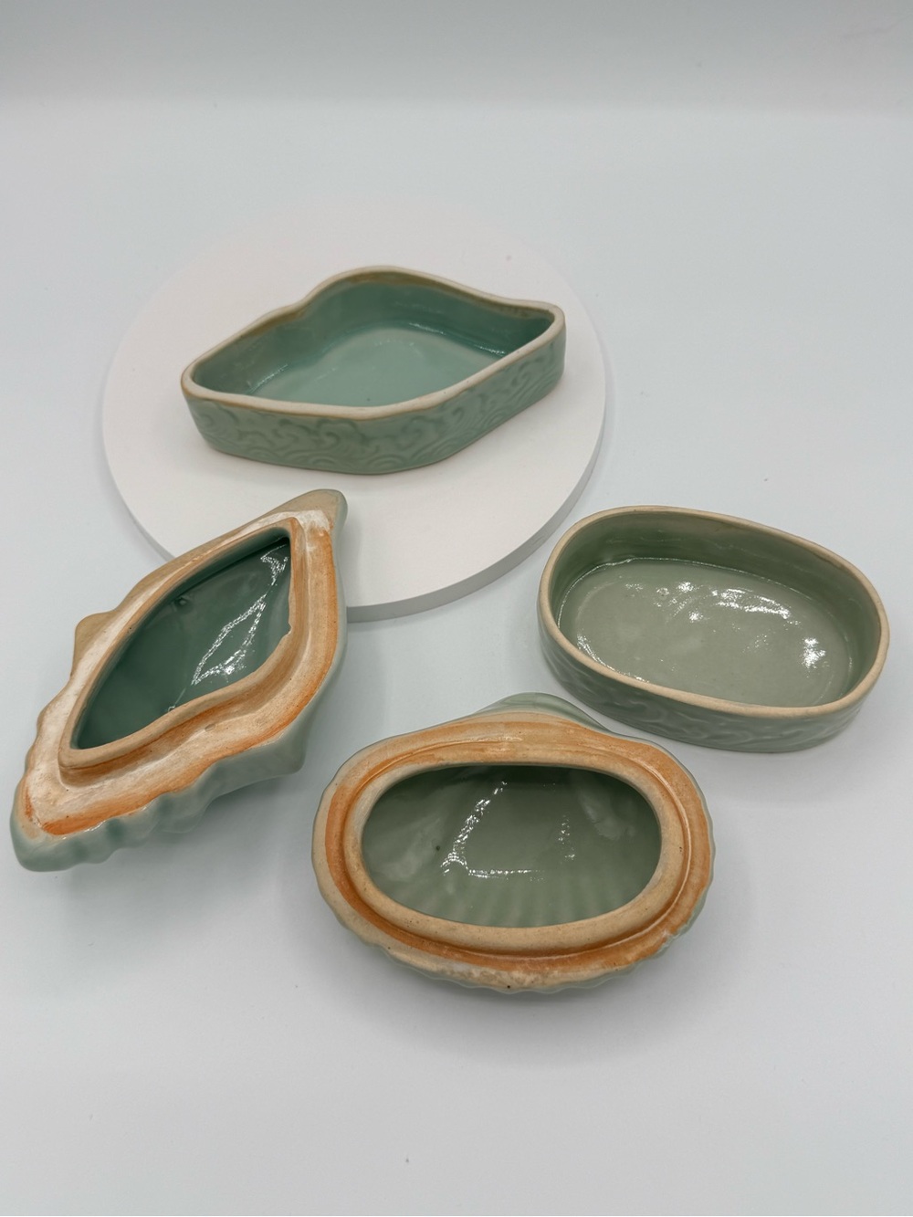 Celedon Ceramic Sea Shell Decorative Box - Sage Green - Picture 5 of 7